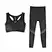 fitness leggings